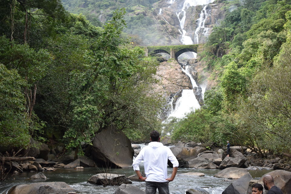 Photo of 5 Things you MUST know before Trekking Dudhsagar 1/5 by Mayur Jain