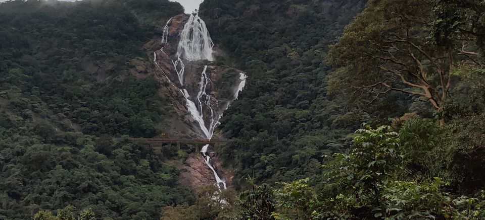 Photo of 5 Things you MUST know before Trekking Dudhsagar 2/5 by Mayur Jain