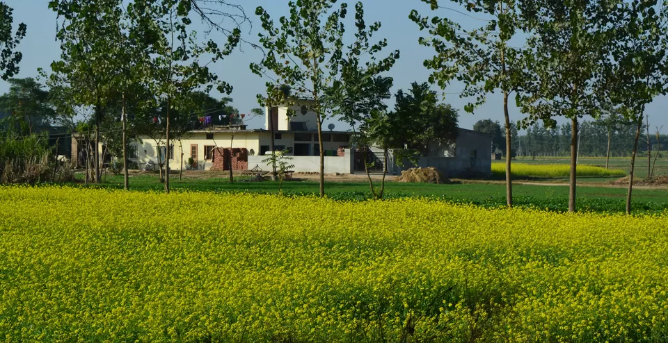 Photo of New Delhi, India by Madhumita Das