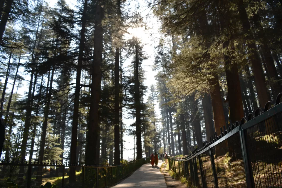 Photo of Manali, Himachal Pradesh, India by Madhumita Das