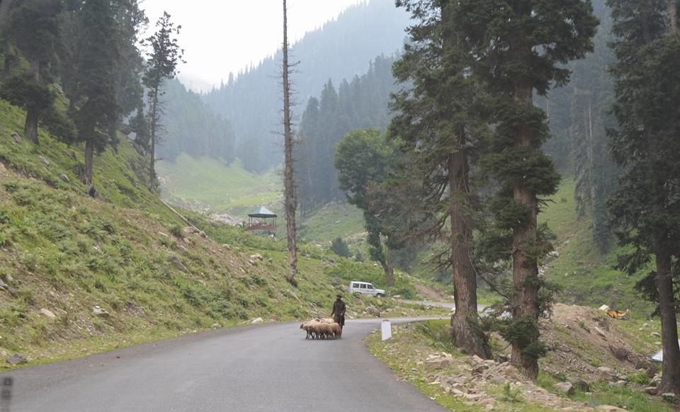 Photo of Kashmir , By chance!! 1/35 by Madhumita Das