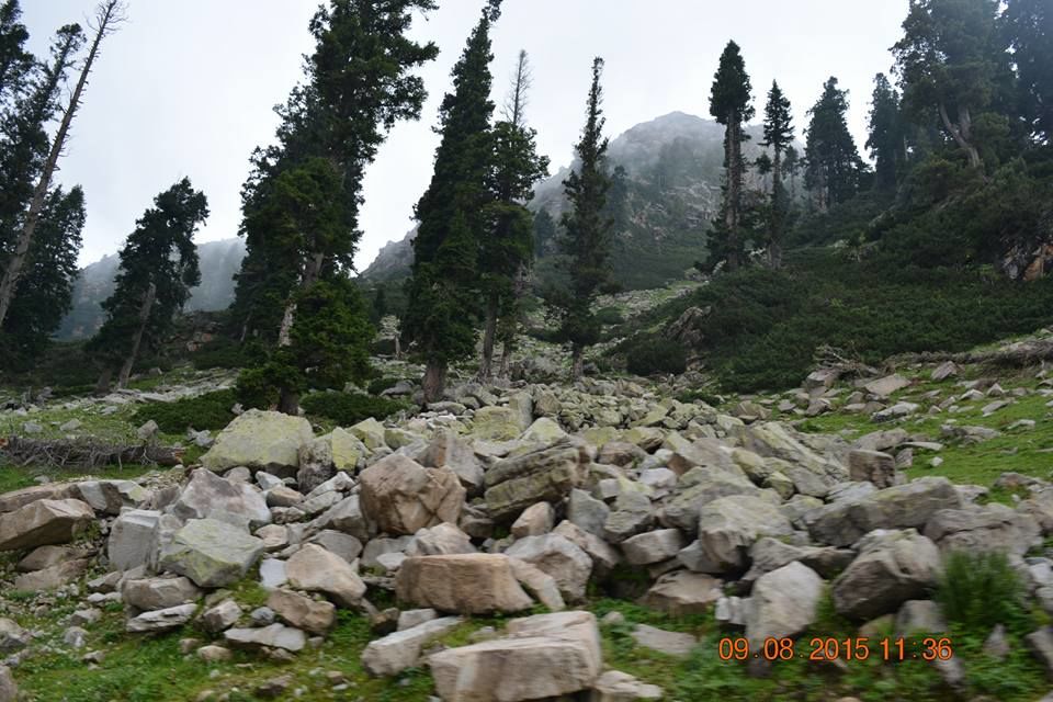 Photo of Kashmir , By chance!! 2/35 by Madhumita Das