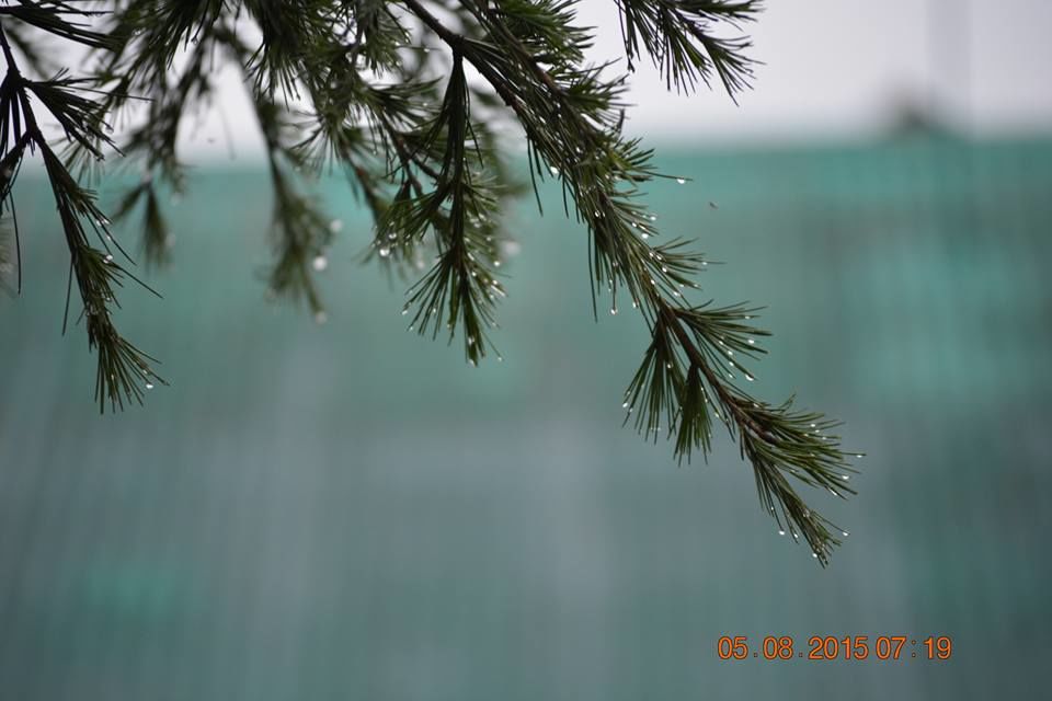 Photo of Kashmir , By chance!! 8/35 by Madhumita Das