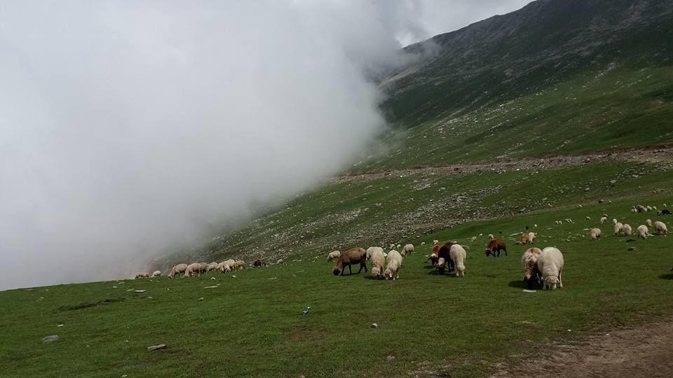 Photo of Kashmir , By chance!! 12/35 by Madhumita Das