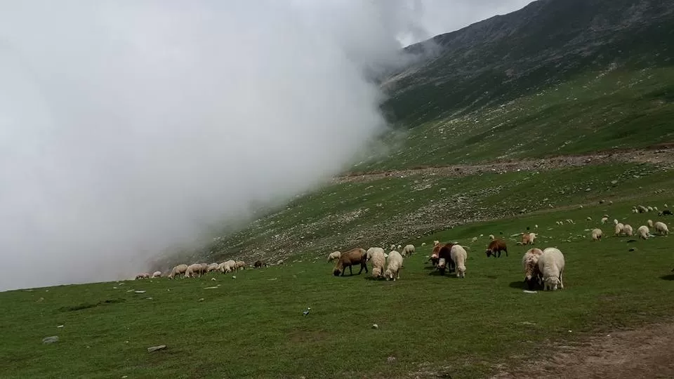 Photo of Sinthan Top, Kokernag by Madhumita Das