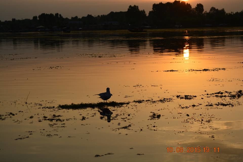 Photo of Kashmir , By chance!! 20/35 by Madhumita Das