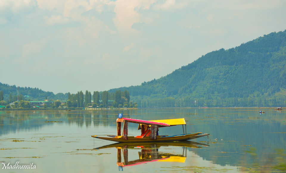 Photo of Kashmir , By chance!! 5/35 by Madhumita Das