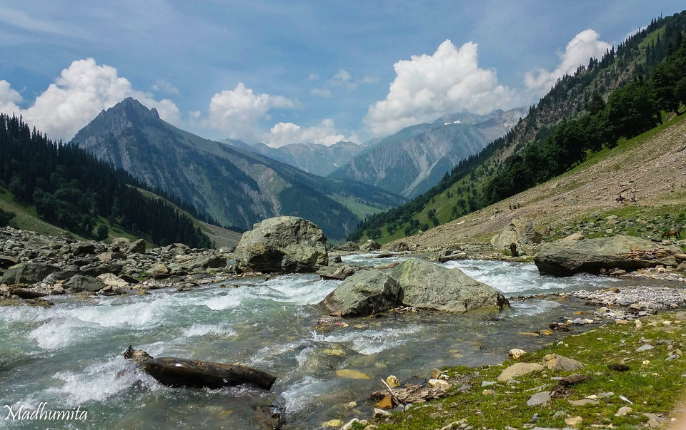 Photo of Kashmir , By chance!! 23/35 by Madhumita Das