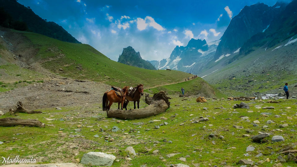 Photo of Kashmir , By chance!! 24/35 by Madhumita Das