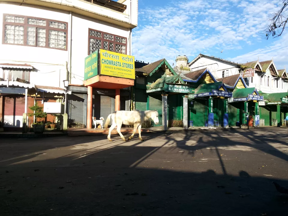 Photo of Darjeeling, West Bengal, India by Madhumita Das