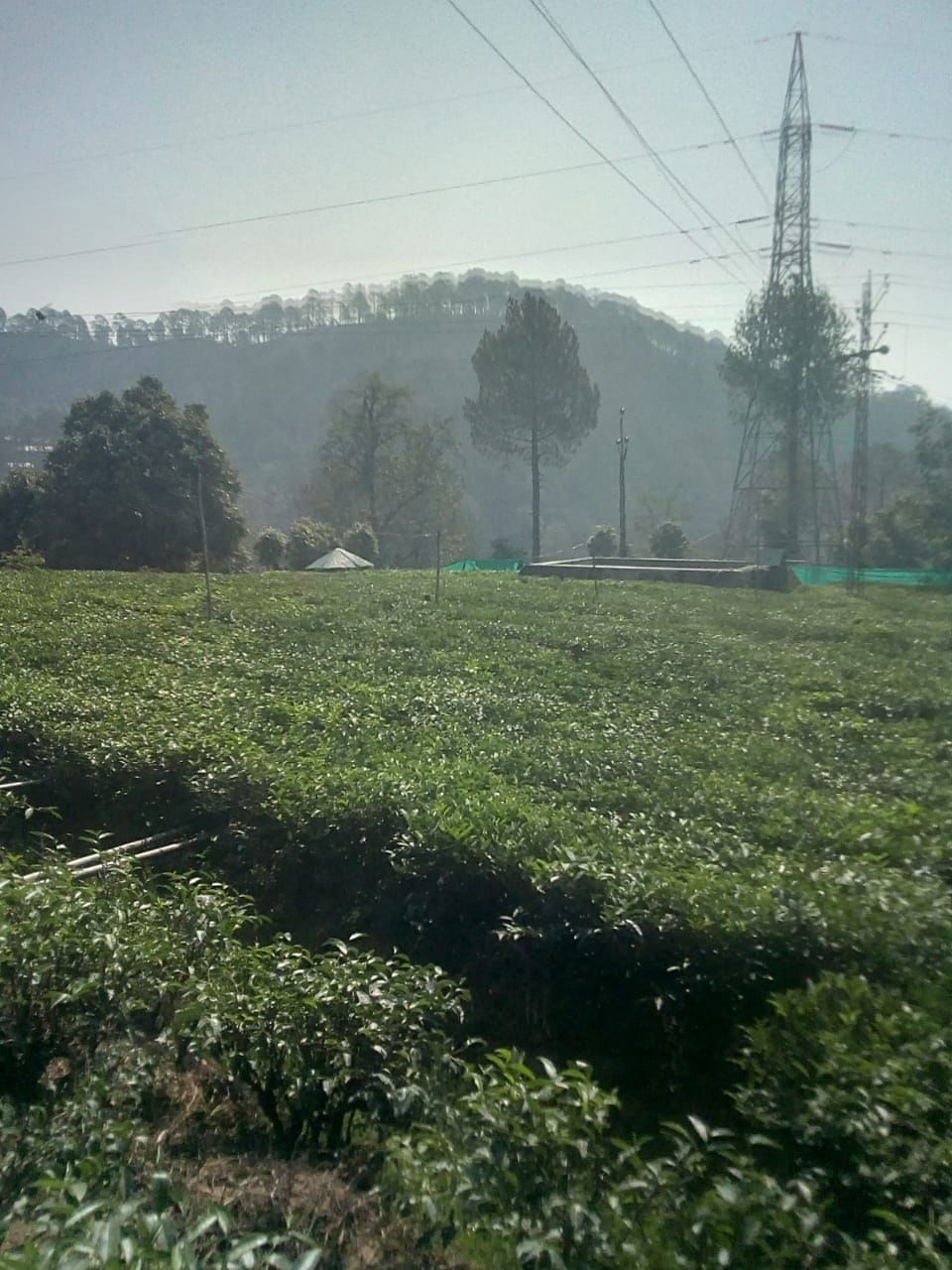 Photo of 2019 में हम लोगों की मुक्तेश्वर और नैनीताल यात्रा by Manjul Mishra