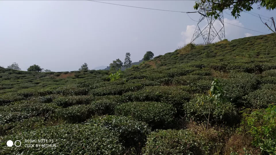 Photo of Mirik Lake by Mithun Prasad