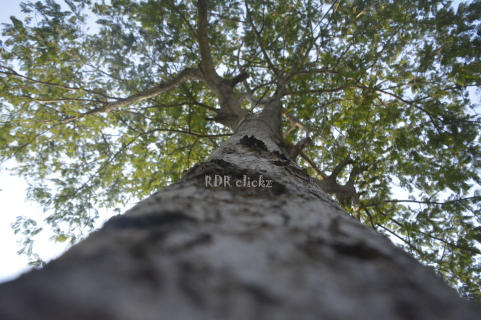 Photo of Gandipet Park, Gandipet, Hyderabad, Telangana, India by Ramadevi Reddy