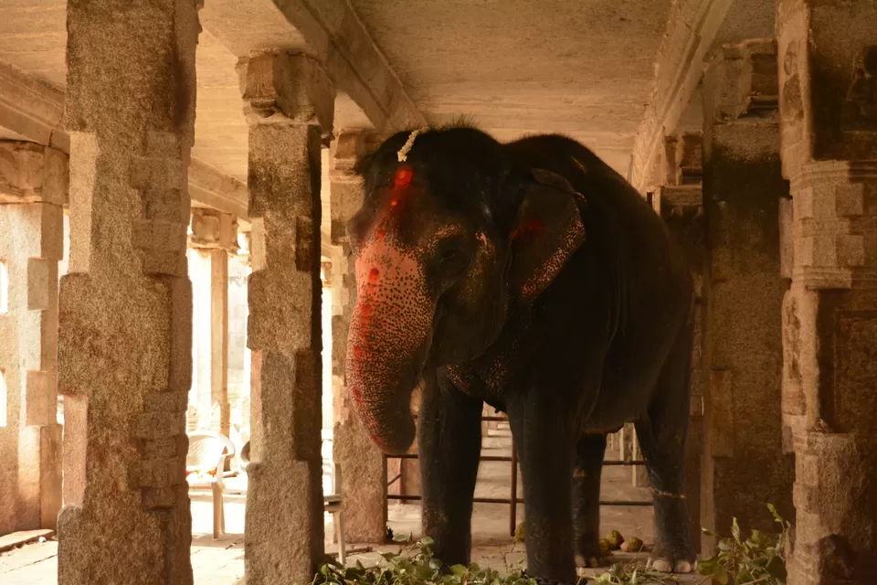 Photo of Virupaksha Temple East Gopura, Hampi, Karnataka, India by Ramadevi Reddy