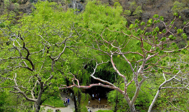 Photo of Ajanta, Maharashtra, India by Ramadevi Reddy