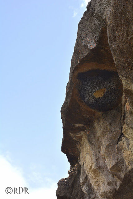 Photo of Ajanta, Maharashtra, India by Ramadevi Reddy