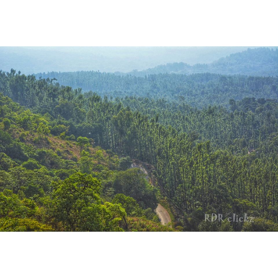 Photo of Chikmagalur - Mullayanagiri Trek#mydiscovery by Ramadevi Reddy