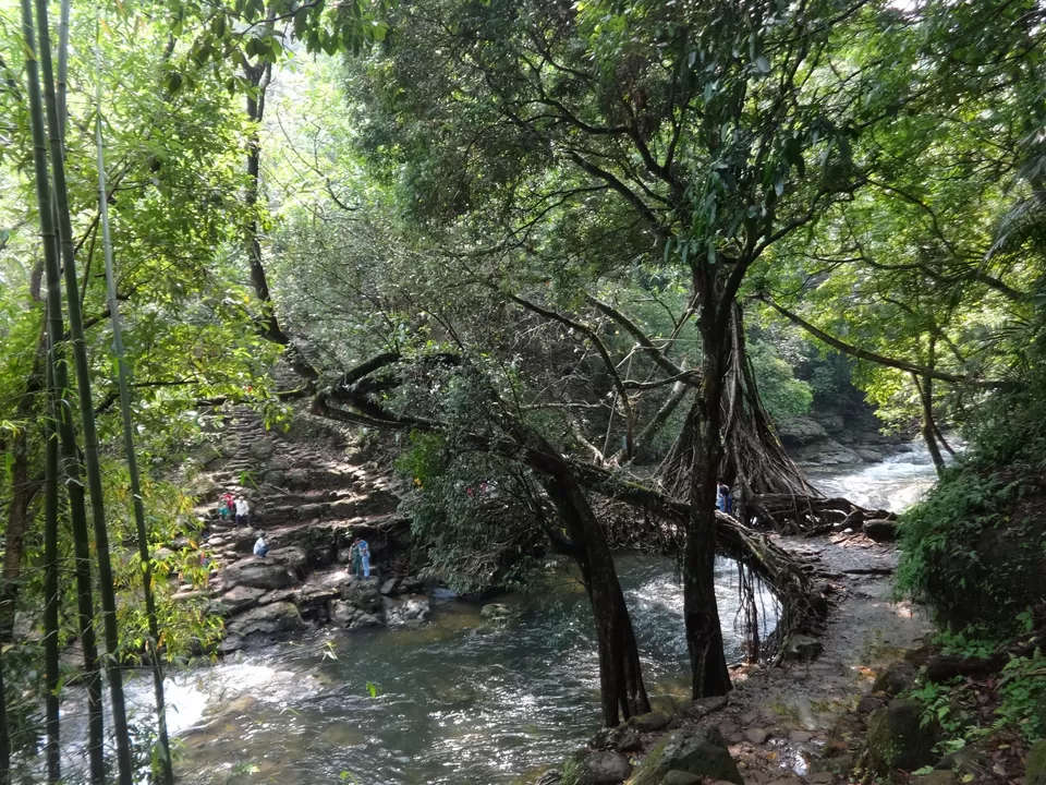 Photo of Mawlynnong, Mawlynnong, Meghalaya 793109, India by Lakshmi Venkateswaran