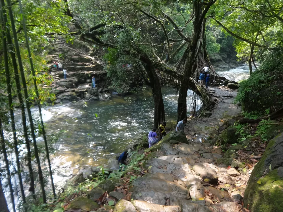 Photo of Mawlynnong, Mawlynnong, Meghalaya 793109, India by Lakshmi Venkateswaran
