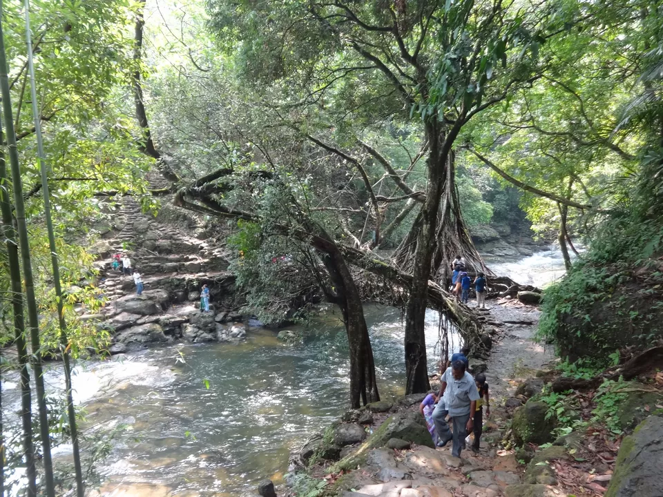 Photo of Mawlynnong, Mawlynnong, Meghalaya 793109, India by Lakshmi Venkateswaran