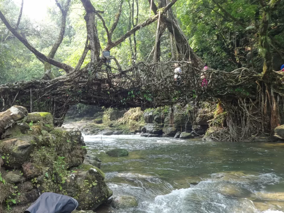 Photo of Mawlynnong, Mawlynnong, Meghalaya 793109, India by Lakshmi Venkateswaran