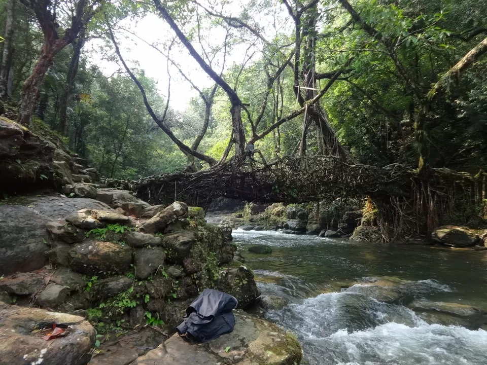 Photo of Mawlynnong, Mawlynnong, Meghalaya 793109, India by Lakshmi Venkateswaran