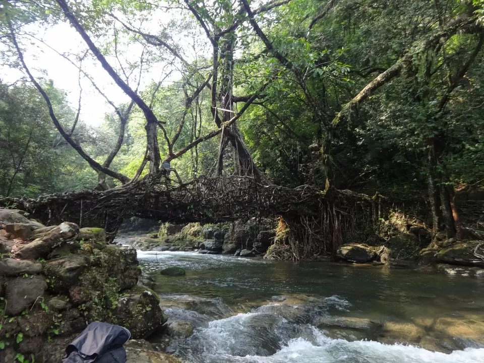 Photo of Mawlynnong, Mawlynnong, Meghalaya 793109, India by Lakshmi Venkateswaran
