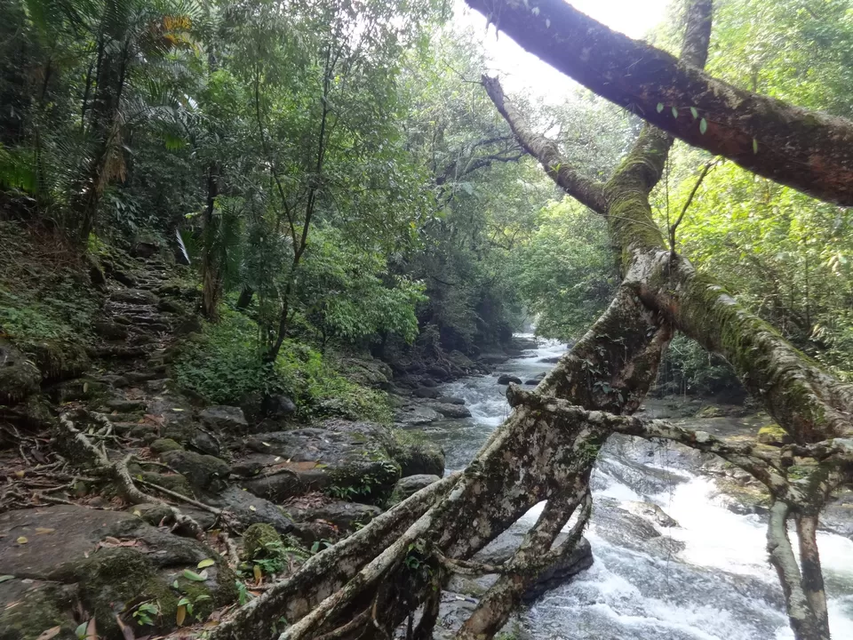 Photo of Mawlynnong, Mawlynnong, Meghalaya 793109, India by Lakshmi Venkateswaran