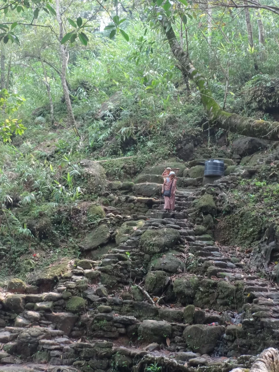 Photo of Mawlynnong, Mawlynnong, Meghalaya 793109, India by Lakshmi Venkateswaran