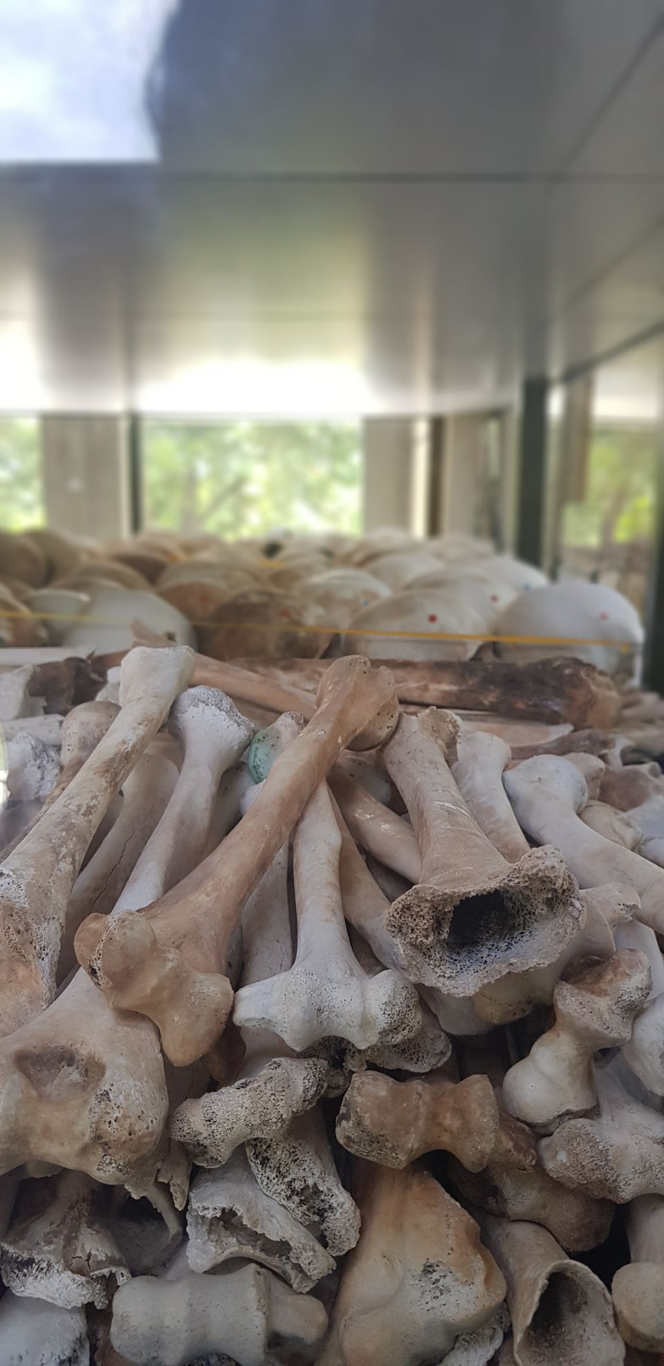 Photo of Why a visit to the Killing Fields is recommended if you want to understand Cambodia by Lakshmi Venkateswaran