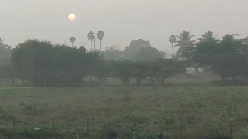 Photo of Aluva by Rajasekar K