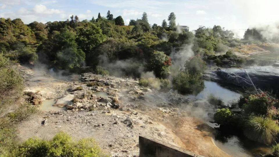Photo of Te Puia thermal reserve by Anushree Kedia Jalan