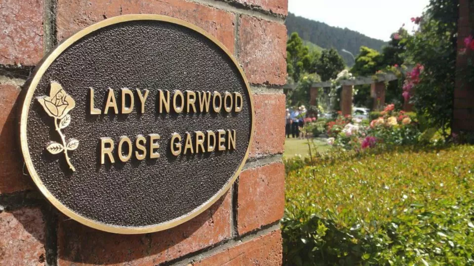 Photo of Lady norwood rose garden by Anushree Kedia Jalan