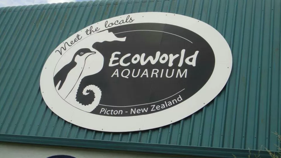 Photo of Picton, Marlborough, New Zealand by Anushree Kedia Jalan