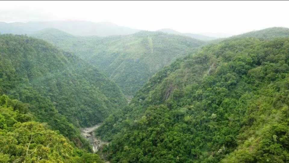 Photo of Kuranda Rainforest Retreat, Green Hills Road, Kuranda, Queensland, Australia by Anushree Kedia Jalan