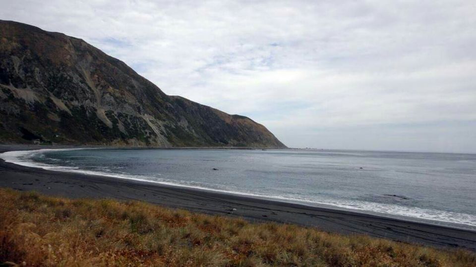 Photo of Road tripping in New Zealand 7/7 by Anushree Kedia Jalan