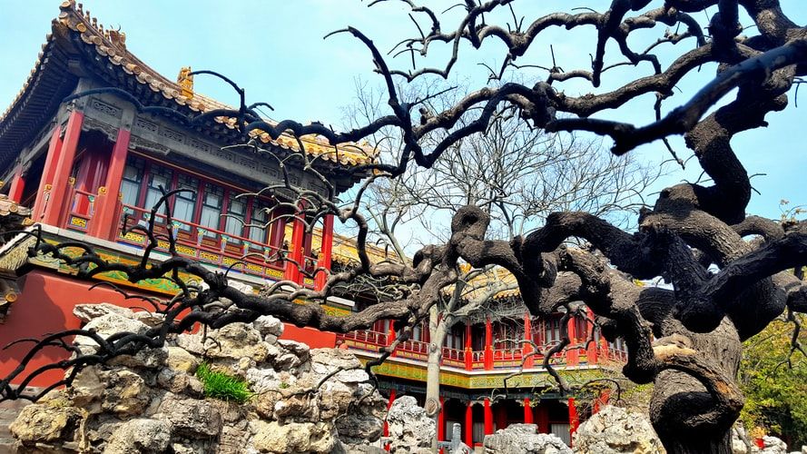 Photo of The Must-Know Hidden Facts about the Forbidden City in China - The Secrets Hidden Within by Pavithra Jinadasa