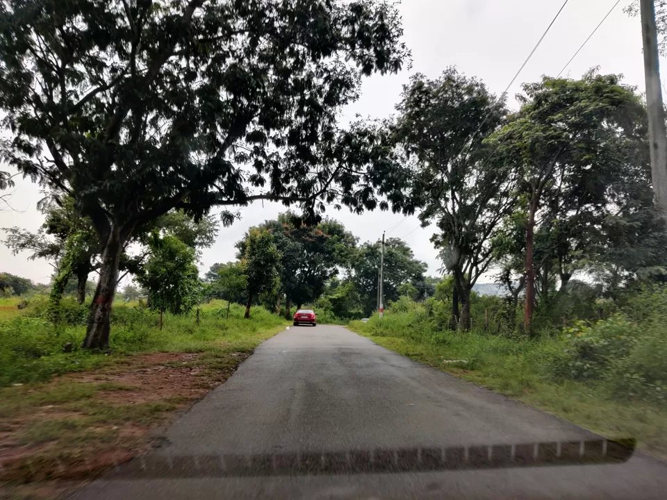 Photo of Misty Hills near Sillicon valley of India: Devarayanadurga Hills #bengalurudiaries by Jincy Jacob