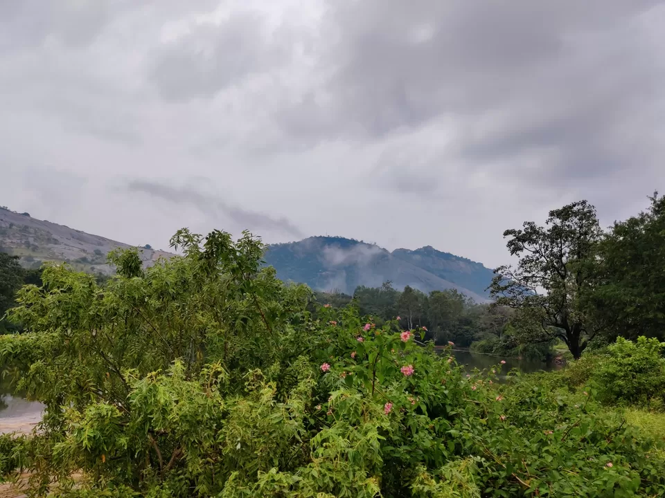 Photo of Misty Hills near Sillicon valley of India: Devarayanadurga Hills #bengalurudiaries by Jincy Jacob