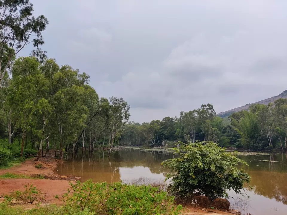 Photo of Misty Hills near Sillicon valley of India: Devarayanadurga Hills #bengalurudiaries by Jincy Jacob
