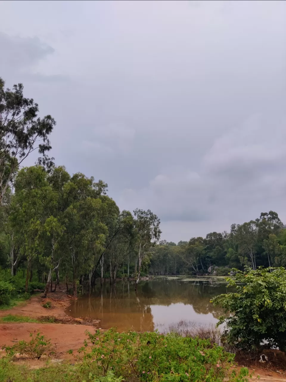 Photo of Misty Hills near Sillicon valley of India: Devarayanadurga Hills #bengalurudiaries by Jincy Jacob