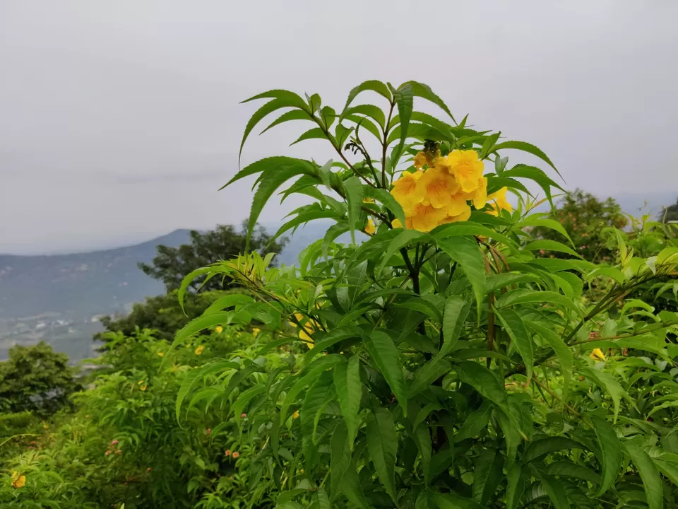 Photo of Misty Hills near Sillicon valley of India: Devarayanadurga Hills #bengalurudiaries by Jincy Jacob