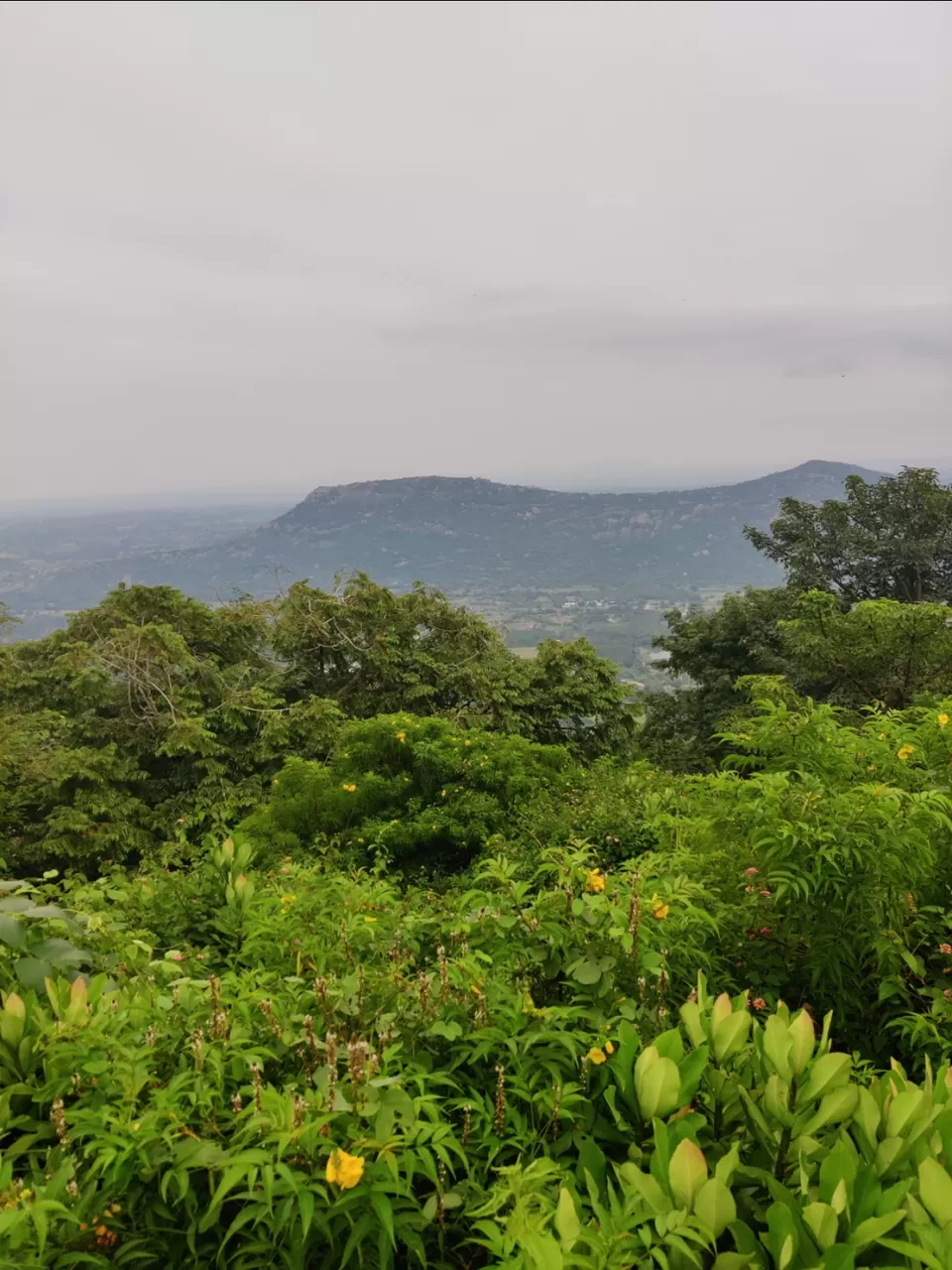 Photo of Misty Hills near Sillicon valley of India: Devarayanadurga Hills #bengalurudiaries by Jincy Jacob