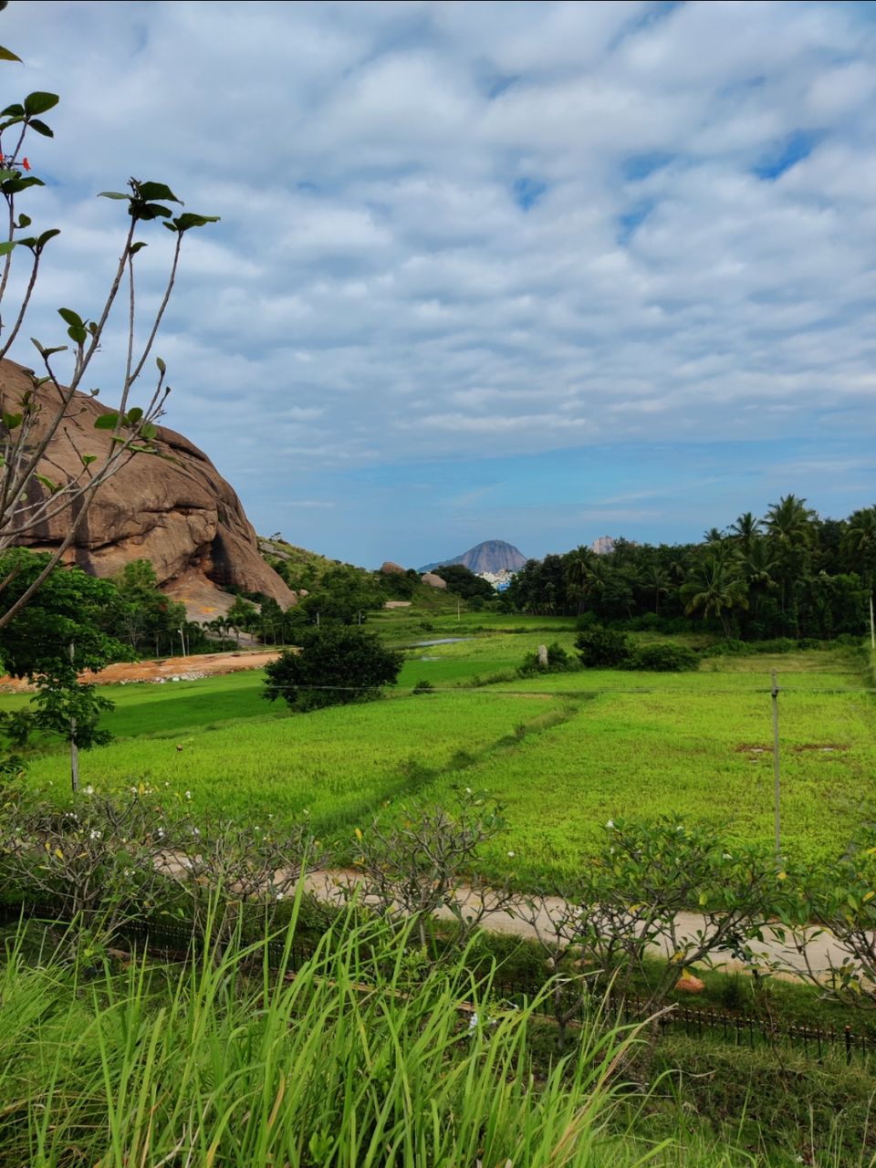 Photo of Rangarayara Doddi Lake by Jincy Jacob