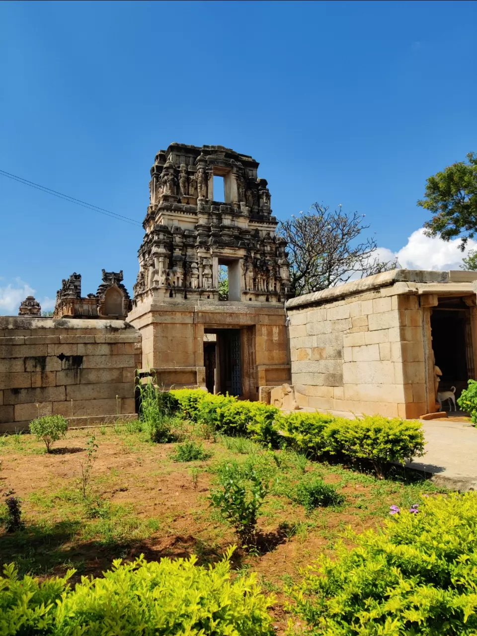 Photo of Don't miss this offbeaten temple when you visit Horsley Hills: Sri Chennakeshava Temple!! by Jincy Jacob