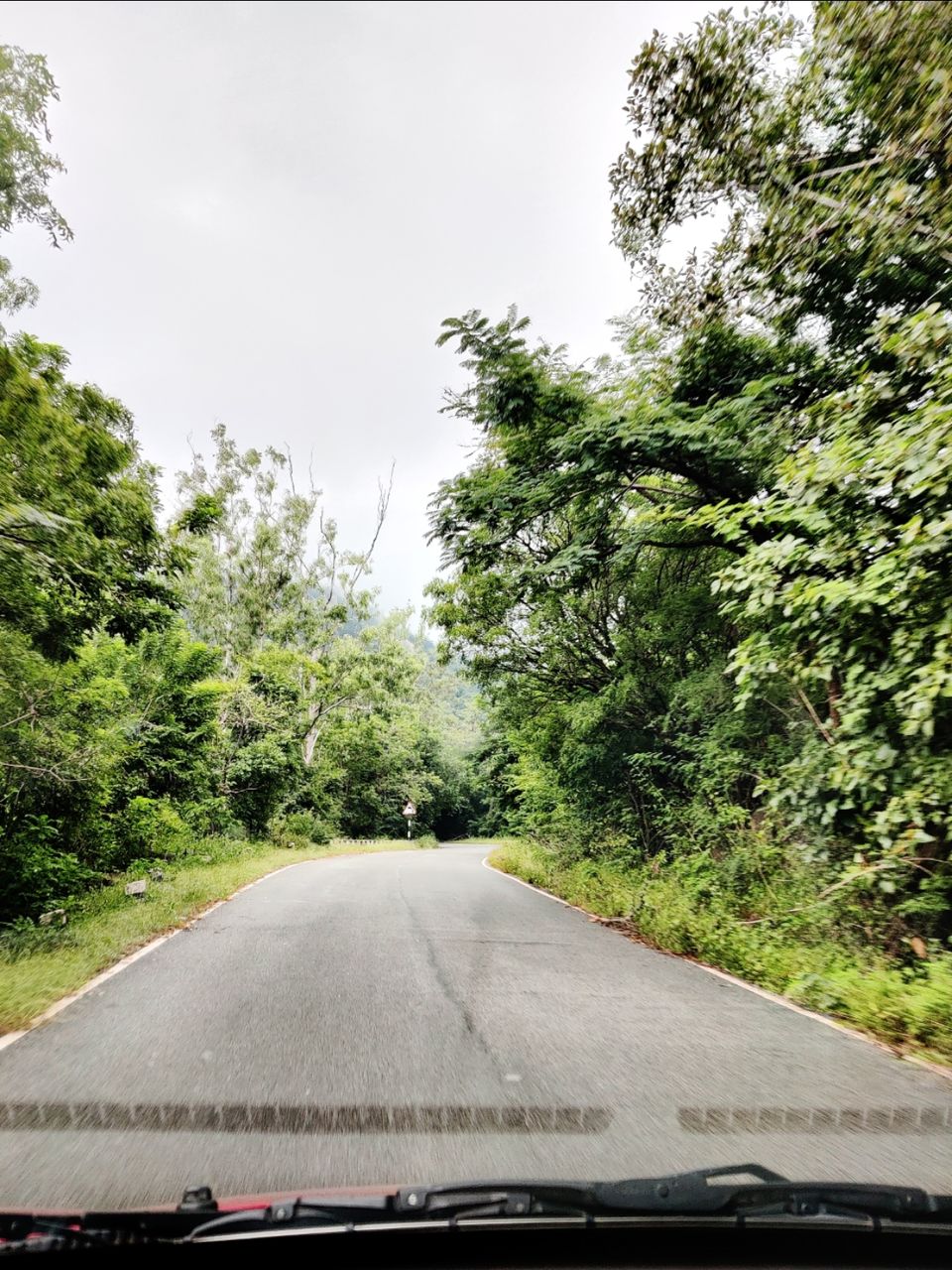 Photo of Windy and Foggy Drive to Ooty of Andhra: Horsely Hills by Jincy Jacob
