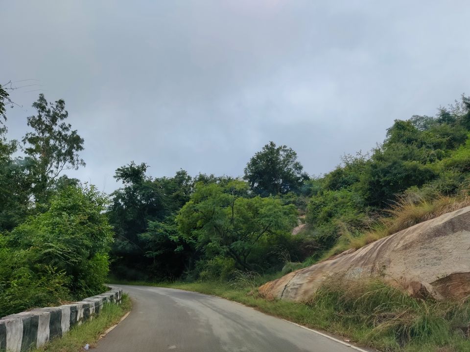 Photo of Windy and Foggy Drive to Ooty of Andhra: Horsely Hills by Jincy Jacob