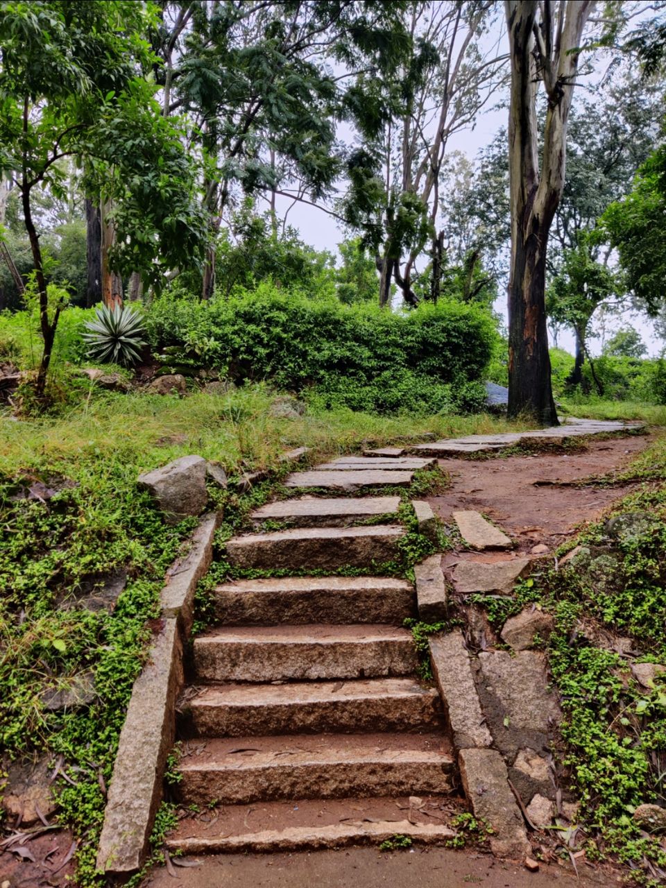 Photo of Whisper Winds View Point by Jincy Jacob