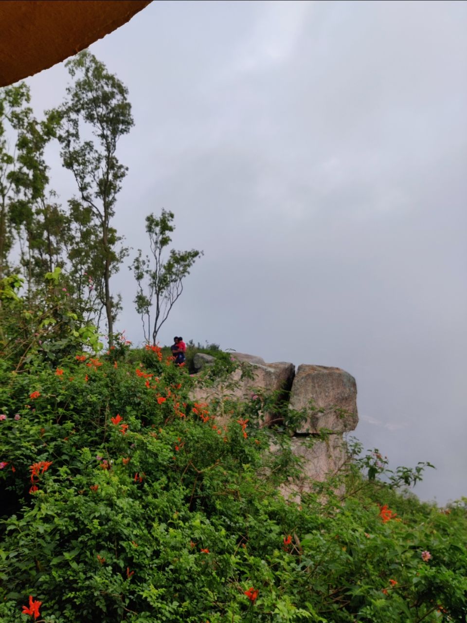 Photo of Whisper Winds View Point by Jincy Jacob