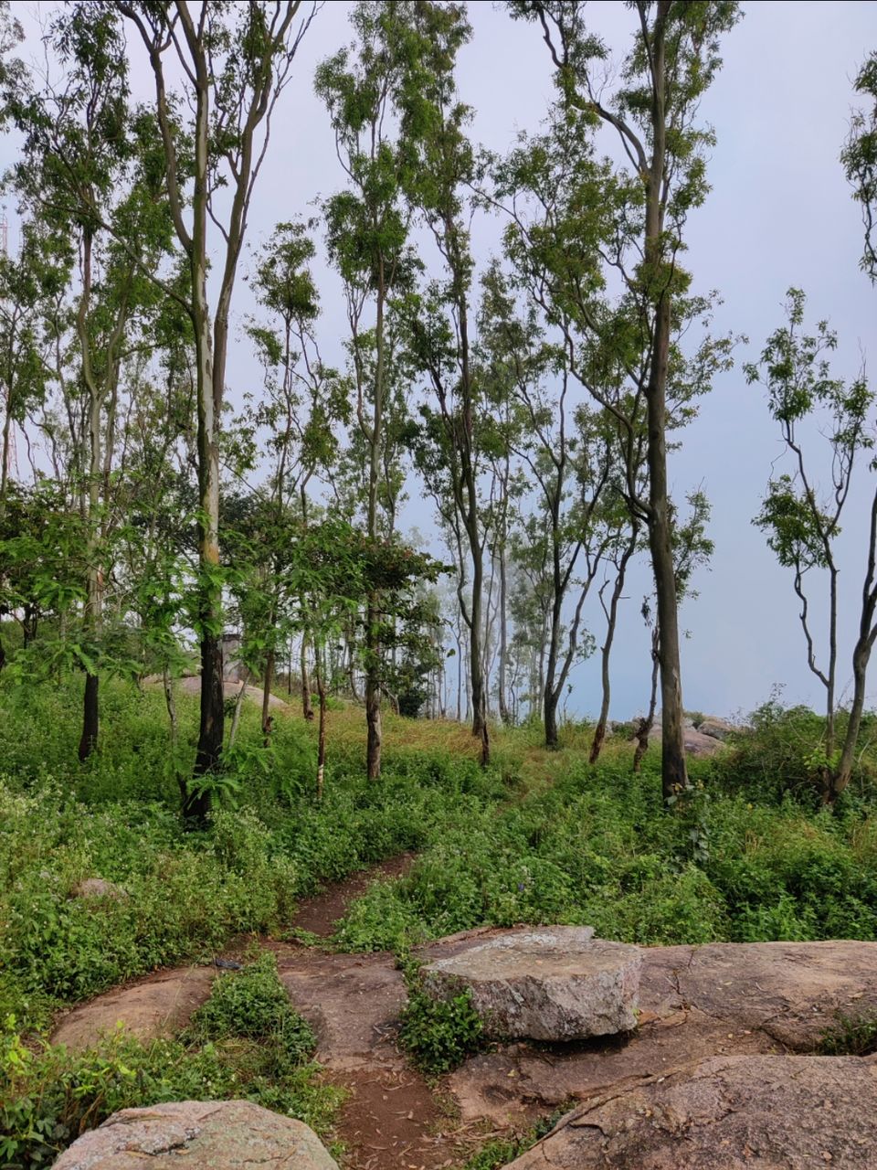 Photo of Whisper Winds View Point by Jincy Jacob